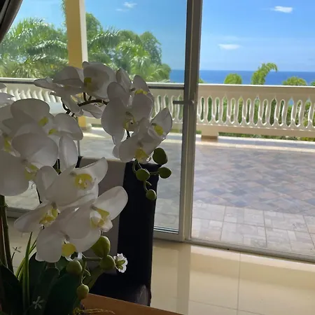 Spring Garden Mobay Resort Luxurious Apartments Montego Bay Exterior photo